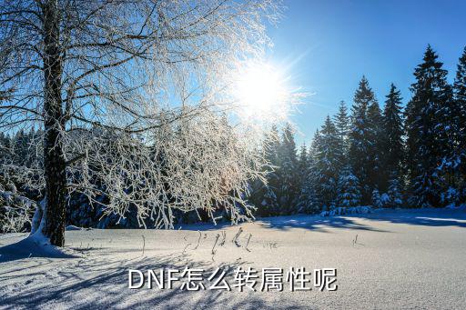 dnf为什么不能属性转移，dnf为什么不能转区