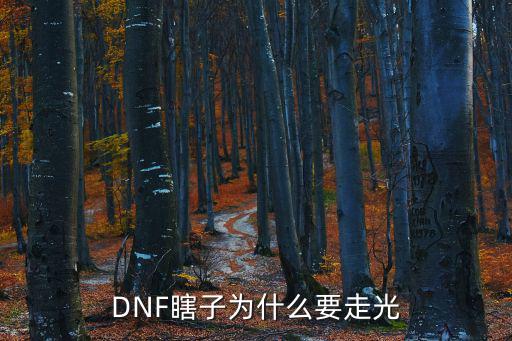 dnf为什么土豪走光属性，DNF走光属性光属性强化到多少算合格