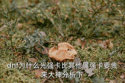 dnf为什么光强卡比其他属强卡要贵来大神分析下