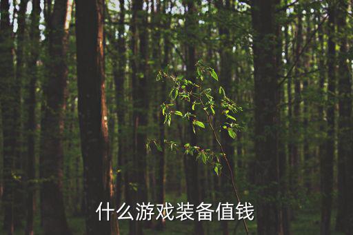 什么游戏装备值钱