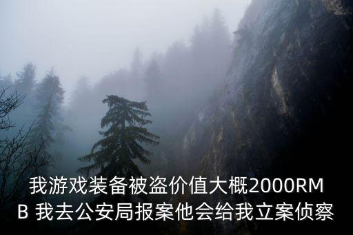 我游戏装备被盗价值大概2000RMB 我去公安局报案他会给我立案侦察