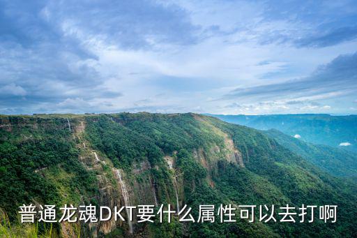 dnf骨龙要用什么属性打，普通龙魂DKT要什么属性可以去打啊