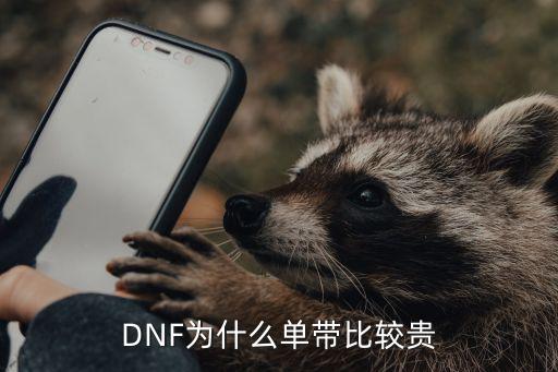 DNF为什么单带比较贵