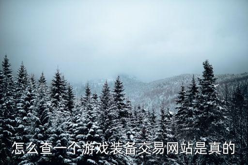 怎么查一个游戏装备交易网站是真的