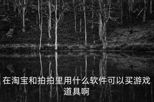 在淘宝和拍拍里用什么软件可以买游戏道具啊