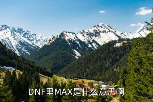 DNF里MAX是什么意思啊