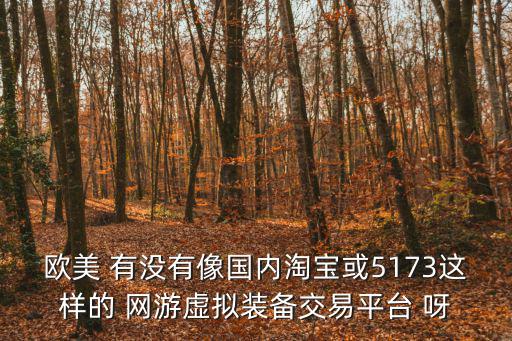 游戏装备出售外国平台叫什么，欧美 有没有像国内淘宝或5173这样的 网游虚拟装备交易平台 呀