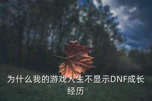 dnf成长属性为什么不提升了，为什么我的游戏人生不显示DNF成长经历