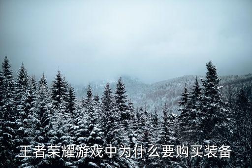 王者荣耀游戏中为什么要购买装备