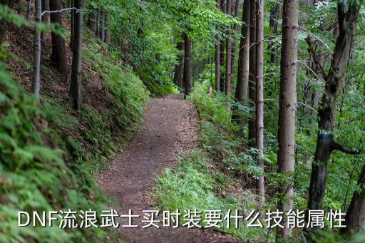 DNF流浪武士买时装要什么技能属性