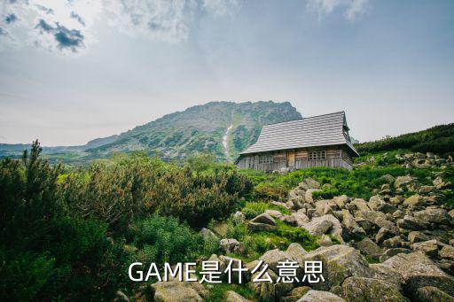 game游戏装备什么意思，game是什么意思啊