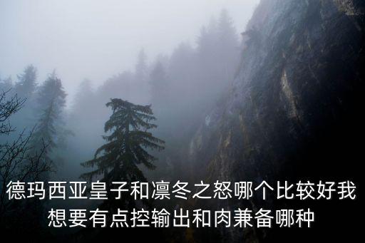 什么冬之怒游戏装备，禀东之怒出什么装备