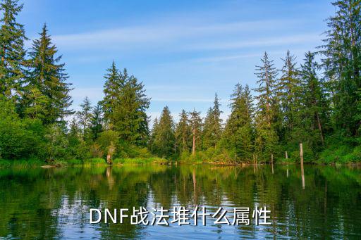 dnf战法什么属性，DNF战法堆什么属性