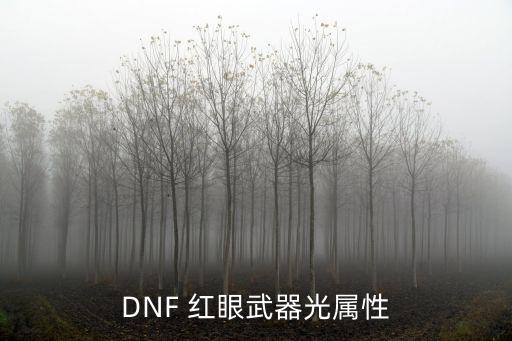 DNF 红眼武器光属性