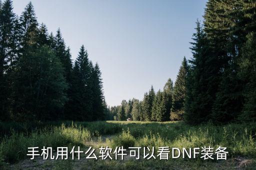 手机用什么软件可以看DNF装备