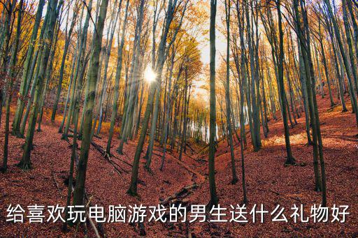送男生游戏装备送什么牌子，给喜欢玩电脑游戏的男生送什么礼物好