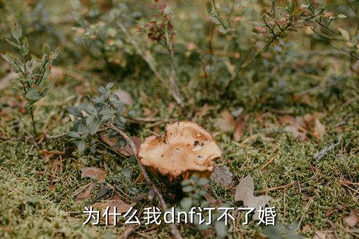 为什么我dnf订不了婚