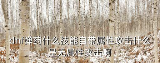 dnf弹药什么技能自带属性攻击什么是无属性攻击啊