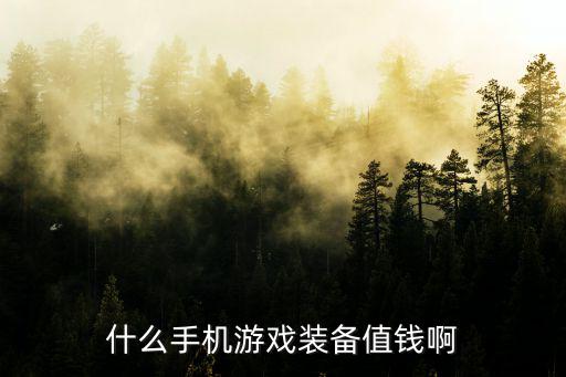 什么手机游戏装备值钱啊