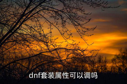 dnf为什么不能遴选属性，dnf套装属性可以调吗