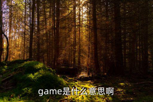 game是什么意思啊