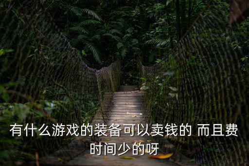 有什么游戏的装备可以卖钱的 而且费时间少的呀