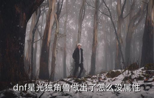 dnf星光独角兽做出了怎么没属性