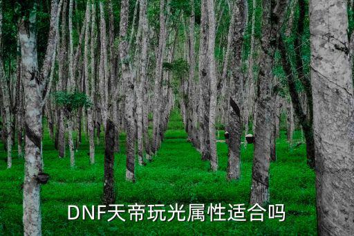 DNF天帝玩光属性适合吗