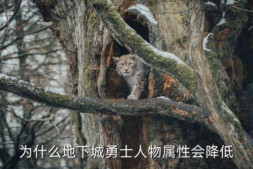 为什么地下城勇士人物属性会降低