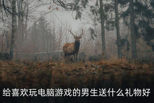 给喜欢玩电脑游戏的男生送什么礼物好