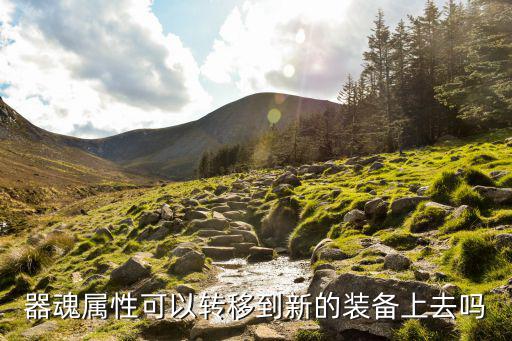 dnf属性转移为什么转移不了，器魂属性可以转移到新的装备上去吗