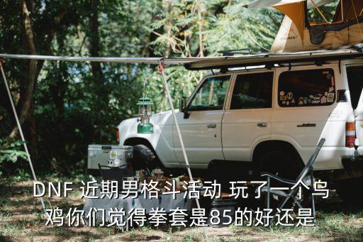 dnf乌鸡什么属性，新手小白想问一下艾肯6怎么搭配属性适合乌鸡