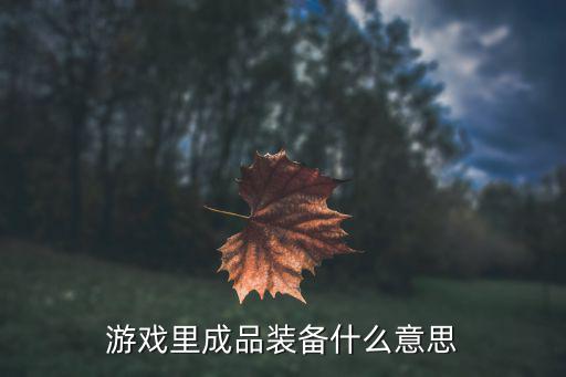 游戏装备是什么，游戏里成品装备什么意思