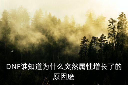DNF谁知道为什么突然属性增长了的原因麽