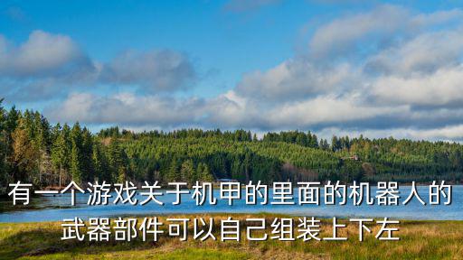 有一个游戏关于机甲的里面的机器人的武器部件可以自己组装上下左