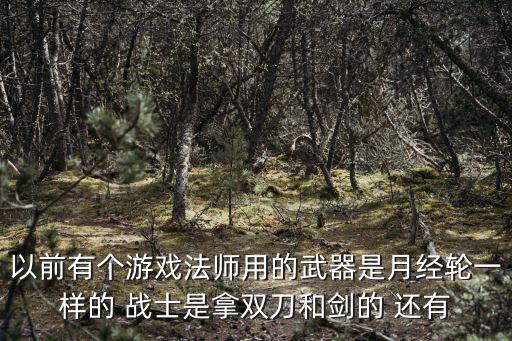 以前游戏装备叫什么，以前有个游戏法师用的武器是月经轮一样的 战士是拿双刀和剑的 还有