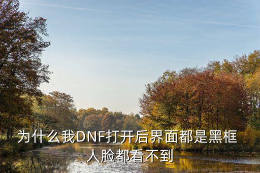 为什么我DNF打开后界面都是黑框 人脸都看不到