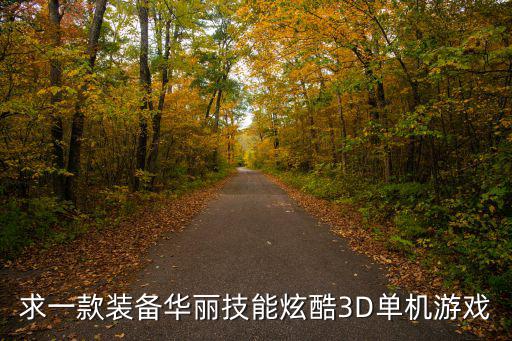 求一款装备华丽技能炫酷3D单机游戏