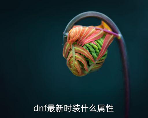 dnf最新时装什么属性