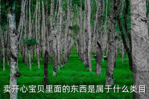 卖开心宝贝里面的东西是属于什么类目