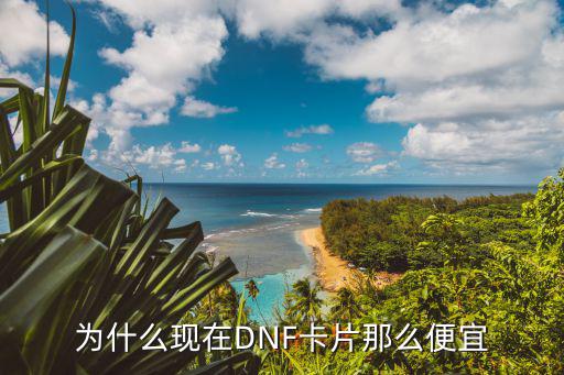 dnf属性卡为什么便宜，为什么现在DNF卡片那么便宜