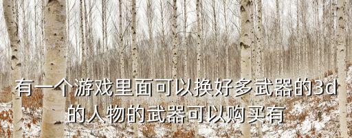 什么游戏装备能换一个，有一个游戏里面可以换好多武器的3d的人物的武器可以购买有