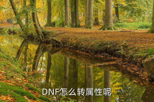 DNF怎么转属性呢