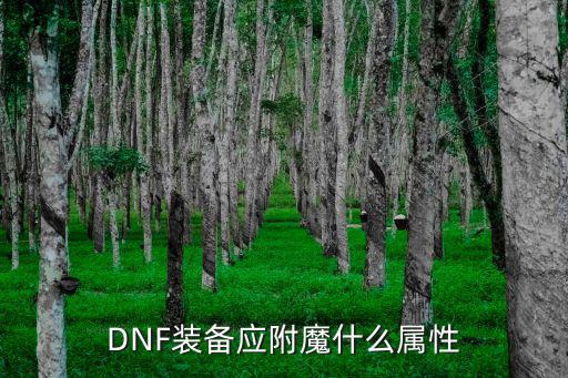 DNF装备应附魔什么属性