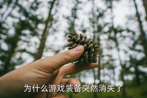 为什么游戏装备突然消失了