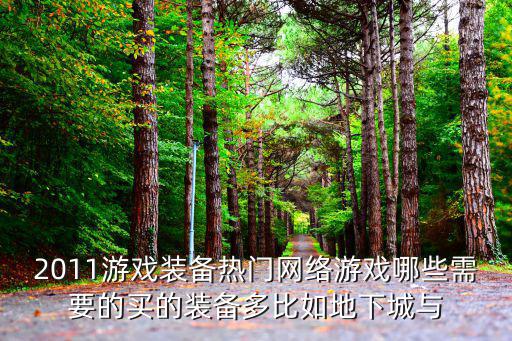 游戏装备要买什么，有需要买游戏的装备或者是需要充什么钻的