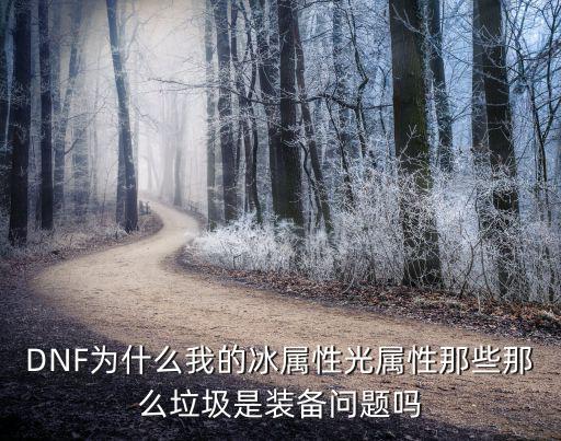 dnf为什么冰属性，DNF为什么我的冰属性光属性那些那么垃圾是装备问题吗