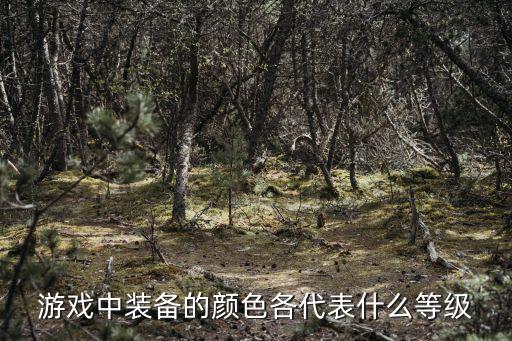 游戏中装备的颜色各代表什么等级