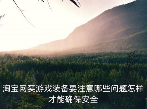 淘宝网买游戏装备要注意哪些问题怎样才能确保安全