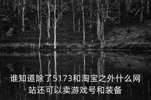 什么软件卖游戏装备，谁知道除了5173和淘宝之外什么网站还可以卖游戏号和装备